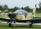 SIAI-Marchetti SF-260WL